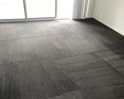 carpet steam cleaning